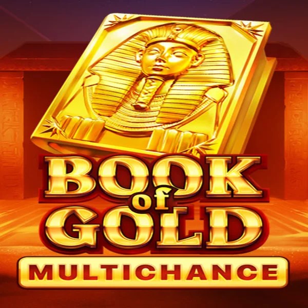Play the Book of Gold Multichance slot by Playson on Coin Casino